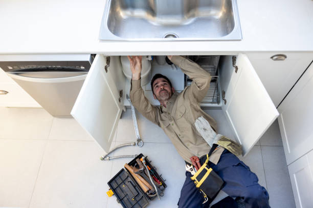 Best Affordable Plumbing Services  in Reading, MI