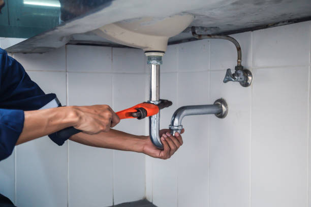 Best Local Plumber Services  in Reading, MI